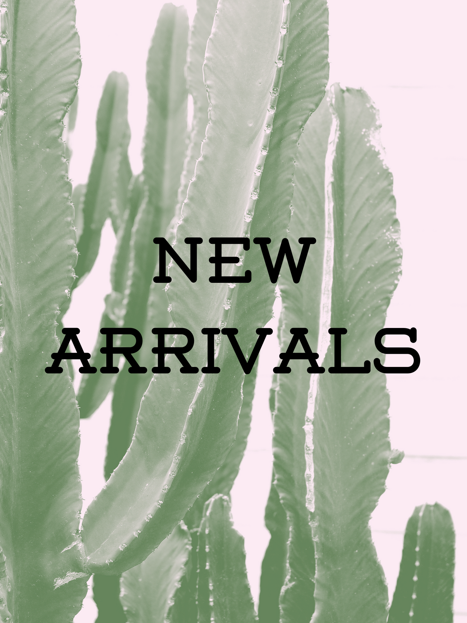 New Arrivals
