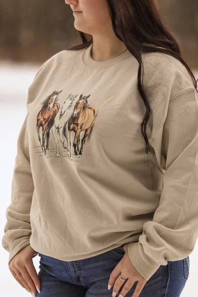 Trail Trio Crewneck