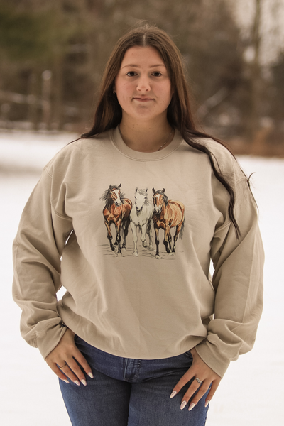 Trail Trio Crewneck