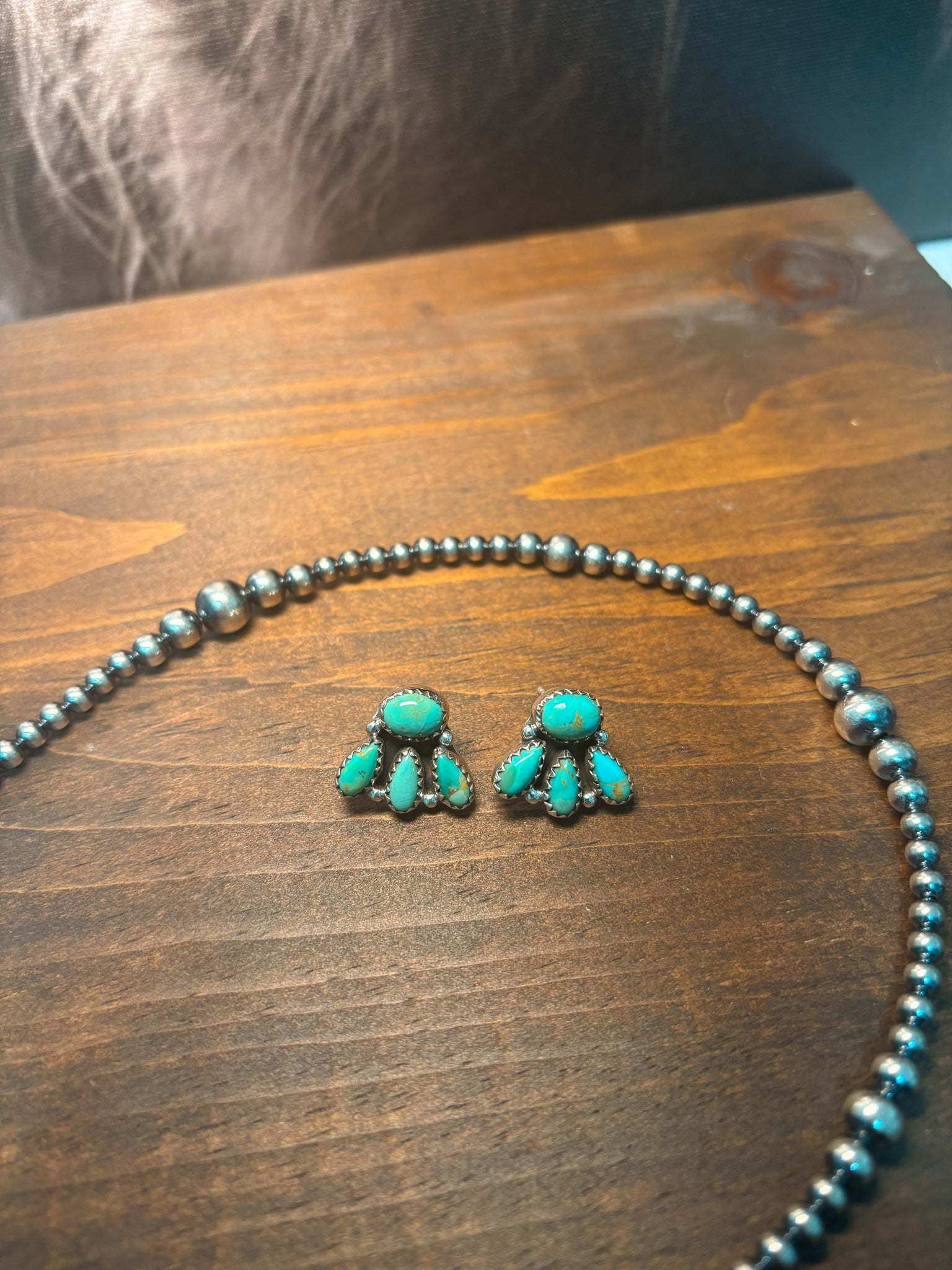 Turquoise Canyon Earrings