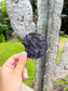 Western black and white cactus print car coasters – Hides & Kinds